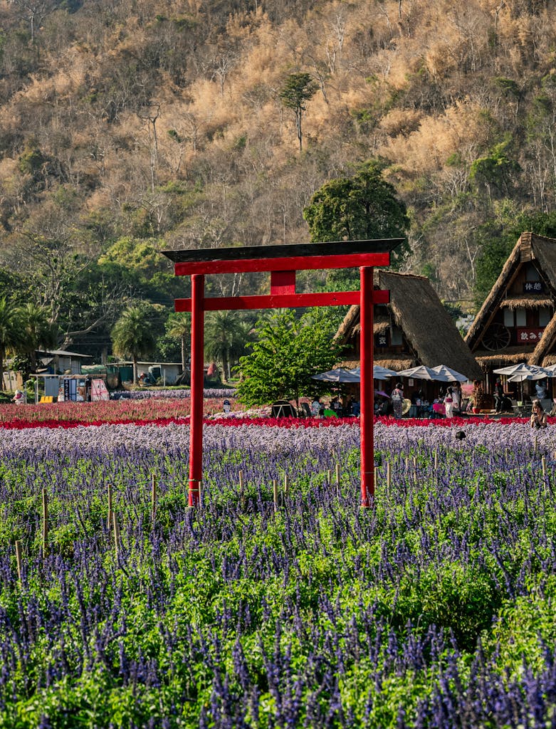 Vibrant flower field featuring a striking red torii, nestled in picturesque Thai countryside.